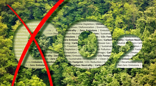 Concetto di sostenibilit&agrave; ambientale: albero e termini ecologici in evidenza